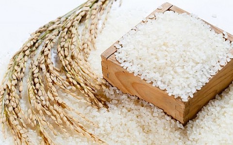Giá gạo hôm nay 23/11: Gạo xuất khẩu tăng nhẹ